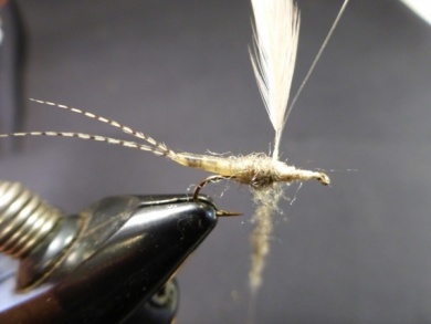 Fly tying - Hackle Stacker de Bob Quigley - Step 1