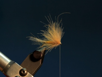 Fly tying - CDC DUN - Step 9