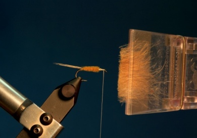 Fly tying - CDC DUN - Step 7