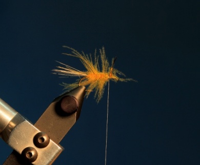 Fly tying - CDC DUN - Step 5