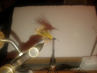 Fly tying - Musters Stimulator. - Step 5