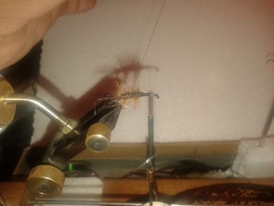 Fly tying - Musters Stimulator. - Step 4