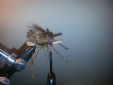 Fly tying - Amy´s Ant - Step 11