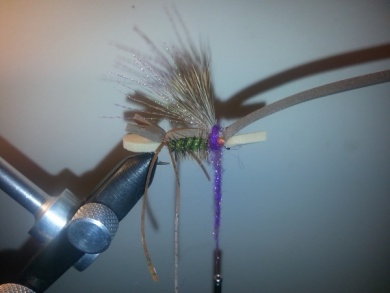 Fly tying - Amy´s Ant - Step 9