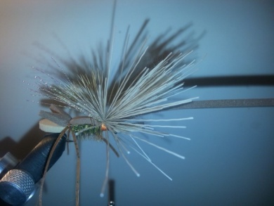 Fly tying - Amy´s Ant - Step 8