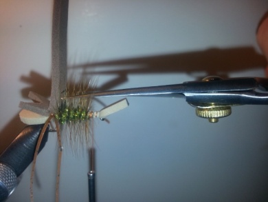 Fly tying - Amy´s Ant - Step 5