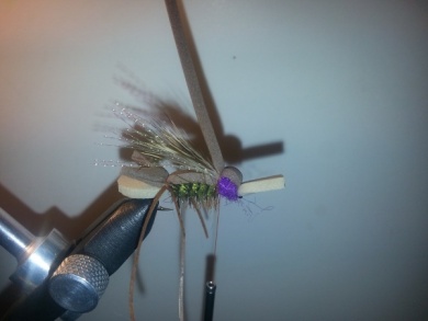 Fly tying - Amy´s Ant - Step 10
