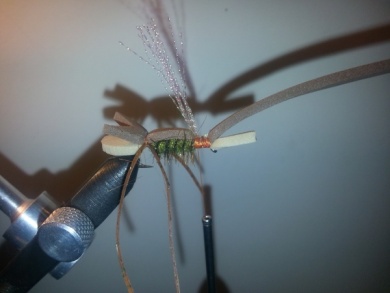 Fly tying - Amy´s Ant - Step 7