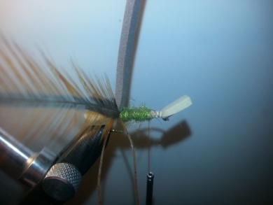Fly tying - Amy´s Ant - Step 4