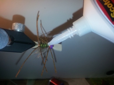 Fly tying - Amy´s Ant - Step 12