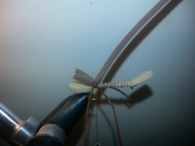 Fly tying - Amy´s Ant - Step 3