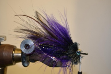 Fly tying - Andino JISS - Step 8