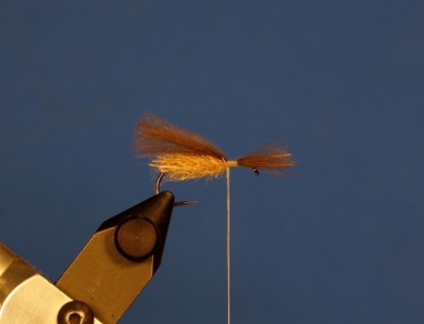 Fly tying - Caddis Lanin - Step 7