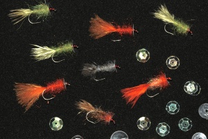 Quiver Fly