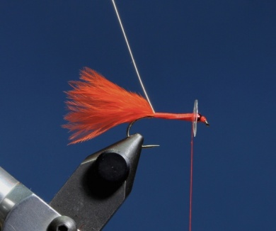 Fly tying - Quiver Fly - Step 4