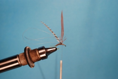 Fly tying - Hackle Stacker - Step 4