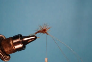 Fly tying - Hackle Stacker - Step 7