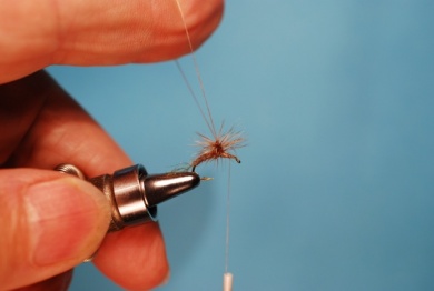 Fly tying - Hackle Stacker - Step 5