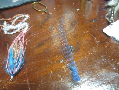 Fly tying - Blue & Pink - Step 6
