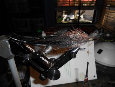 Fly tying - Triple D (Dave's Dark Desire) - Step 6