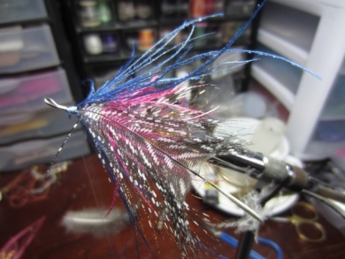 Fly tying - Blue & Pink - Step 16
