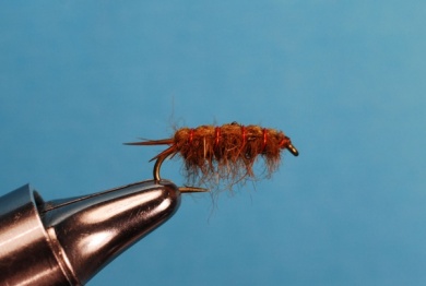 Fly tying - Whitlock's Sowbug - Step 6
