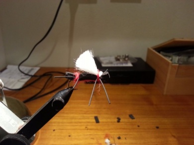 Fly tying - Willys Ant - Red - Step 6