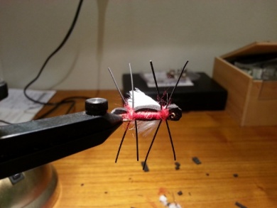 Fly tying - Willys Ant - Red - Step 7