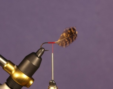 Fly tying - North Country Spider - Step 4