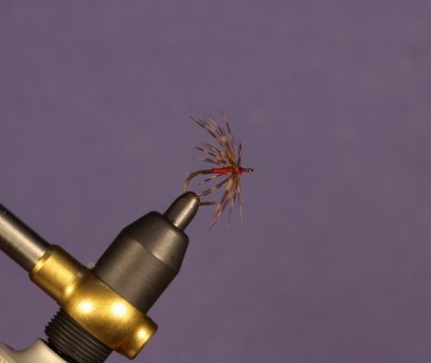 Fly tying - North Country Spider - Step 6