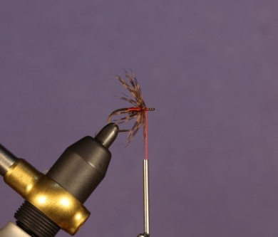 Fly tying - North Country Spider - Step 5