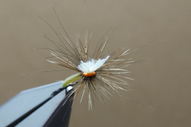 Fly tying - N.A.KH. (Not Another Klinkhamer). - Step 13