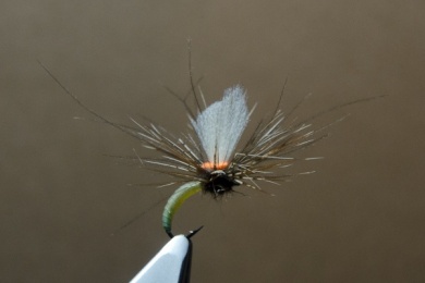 Fly tying - N.A.KH. (Not Another Klinkhamer). - Step 14