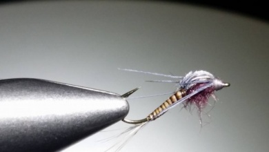 Fly tying - Swimming Nymph - Step 1