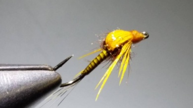 Fly tying - Flashback swimming nymph. - Step 1