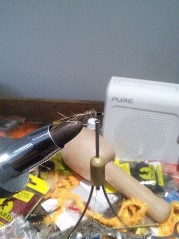 Fly tying - GRHE (gold ribbed hare's ear) - Step 5