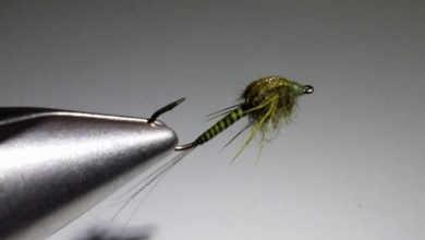 Fly tying - Swimming Nymph - Step 1