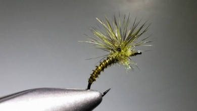 Fly tying - BWO X emerger - Step 1