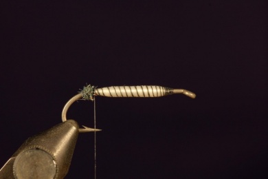 Fly tying - Prince - Step 3