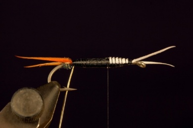 Fly tying - Prince - Step 6