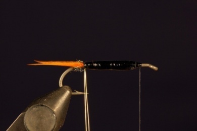 Fly tying - Prince Nymph - Step 5