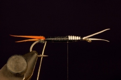 Fly tying - Prince Nymph - Step 6