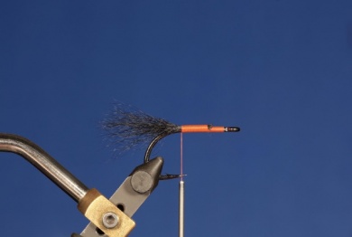 Fly tying - DARTH VADER SHRIMP - Step 1
