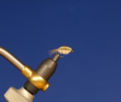 Fly tying - LARVA LACE SCUD - Step 6