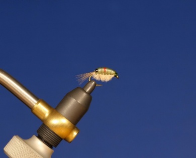 Fly tying - LARVA LACE SCUD - Step 7