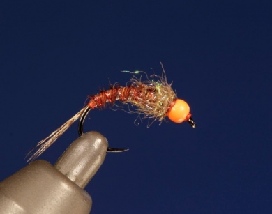 Fly tying - UV HOT HEAD PHEASANT TAIL - Step 8