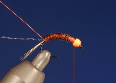 Fly tying - UV HOT HEAD PHEASANT TAIL - Step 5