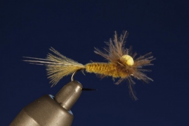 Fly tying - CDC FLOATING NYMPH - Step 12