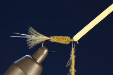 Fly tying - CDC FLOATING NYMPH - Step 6