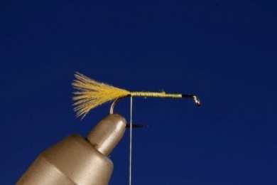 Fly tying - CDC FLOATING NYMPH - Step 1